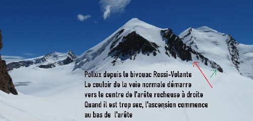Pollux