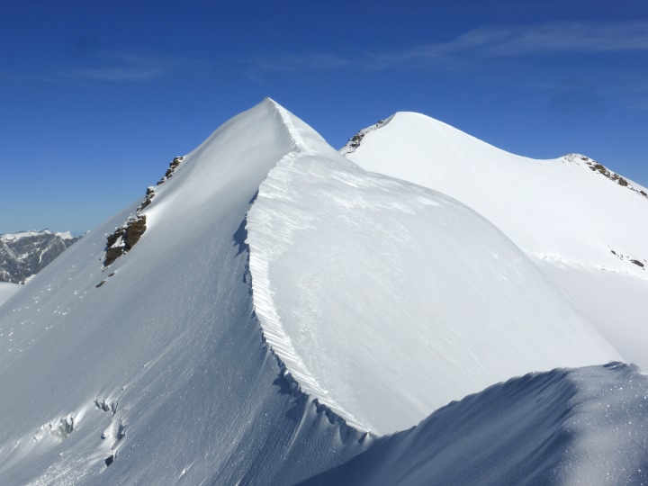 Castor arête est Castor arête est