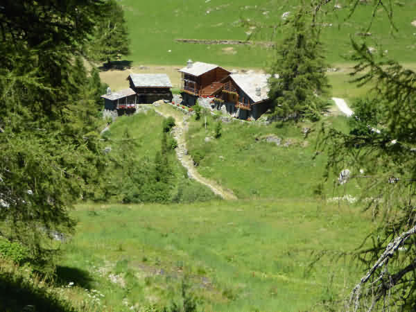 Wandern im Val d’Ayas Wanderreise | Ein Standort | 8 Tage