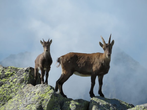 Mont-mars Alpinisme rocheux peu difficile | Refuge | 2 jours
