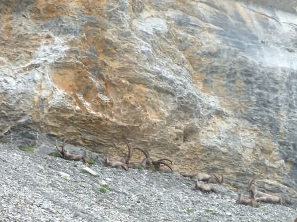 Auf der spur der Dinosaurier Trekking ohne Gepäck | 4 Hotels | 8 Tage