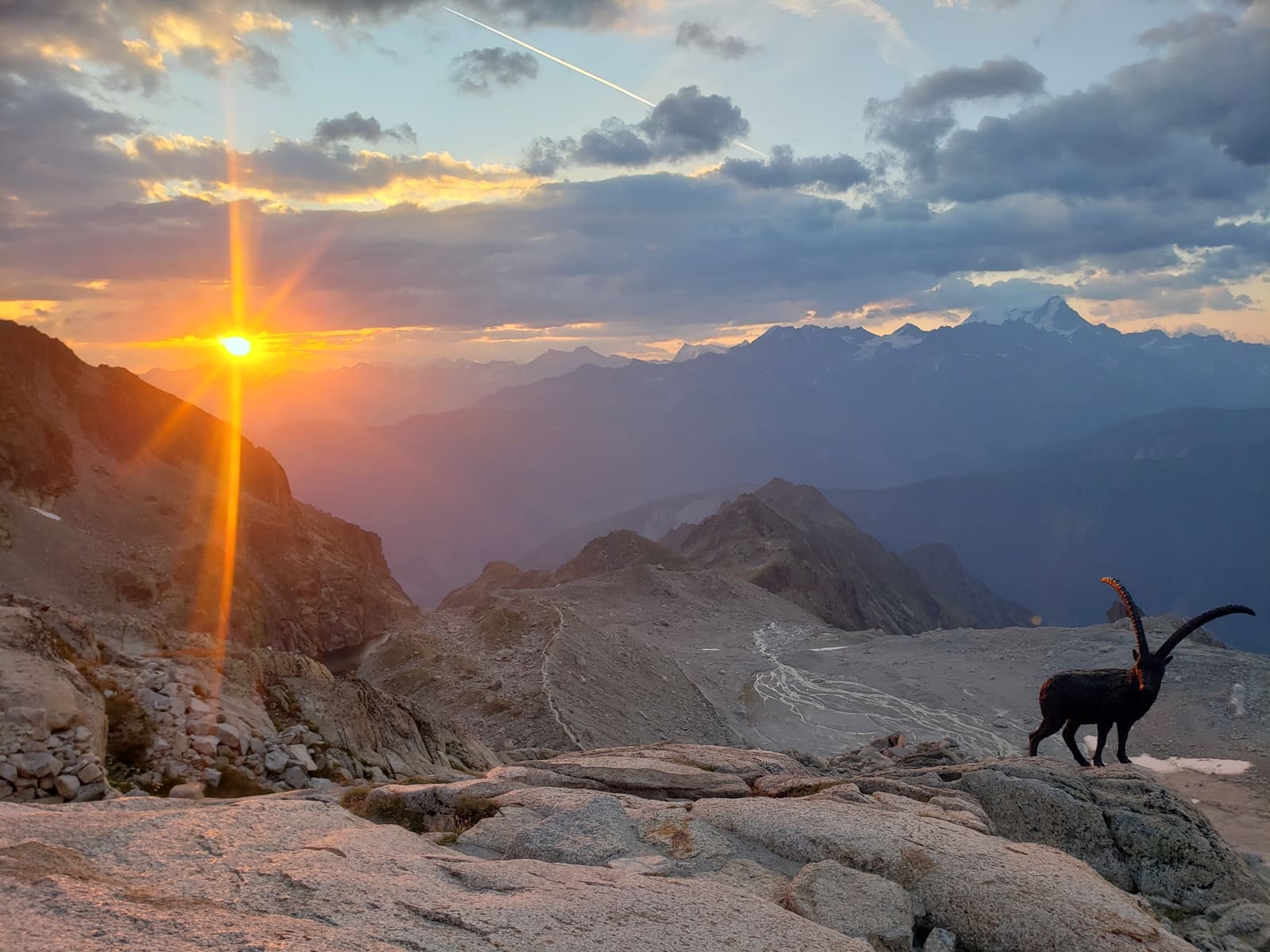 Haute-Route été Chamonix - Zermatt 7 jours Randonnée glaciaire | 7 jours