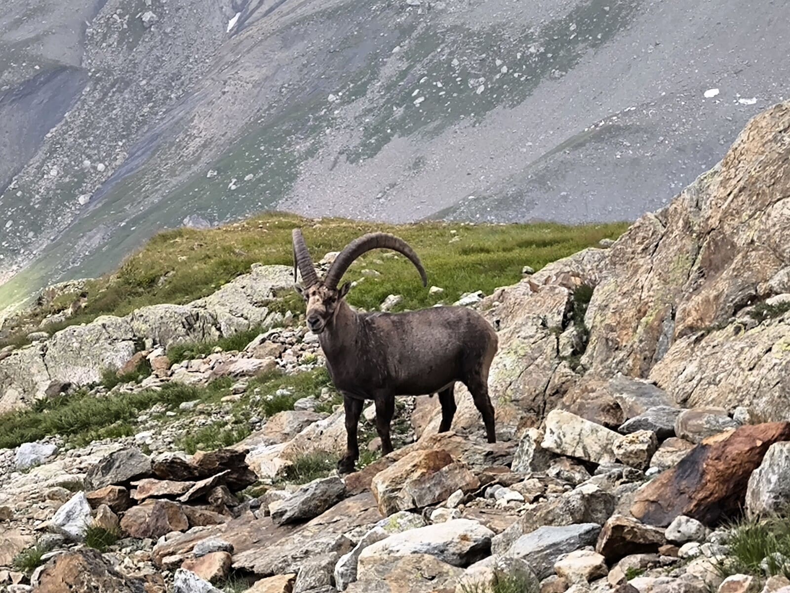 Alpinisme refuge Robert Blanc Alpinisme et Escalade | 3 jours
