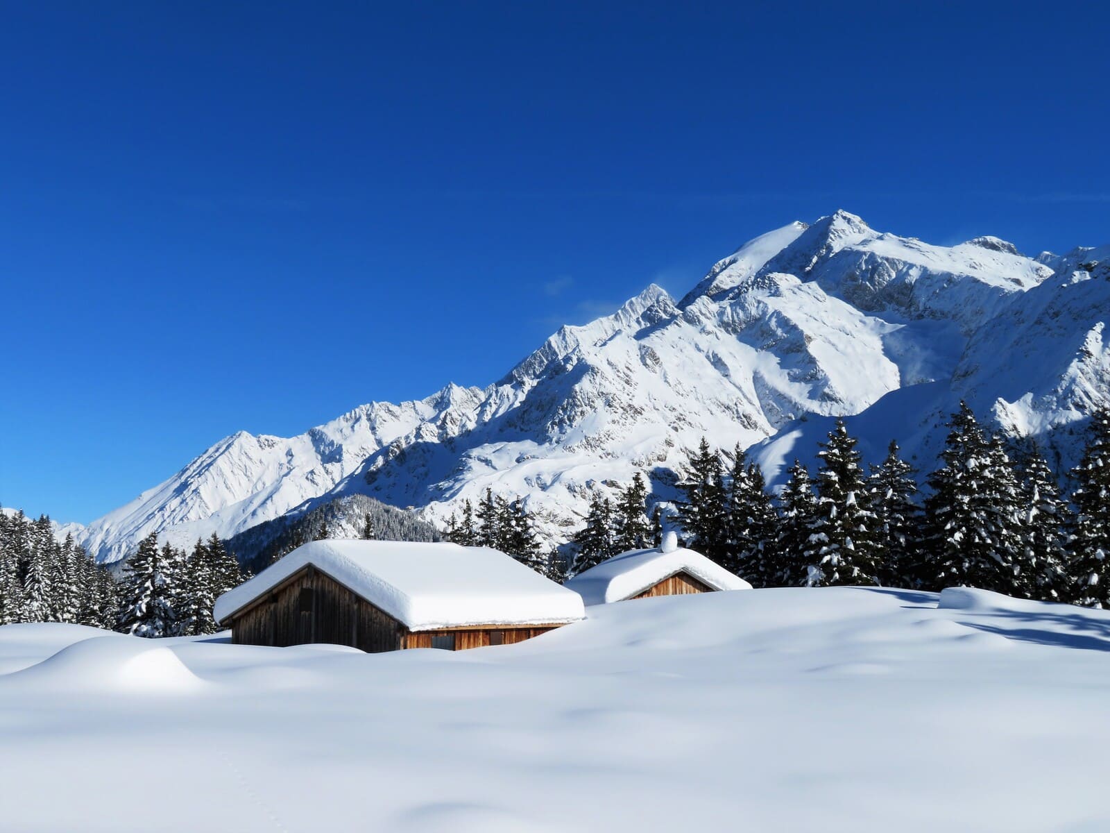 Formation Neige et Sécurité Ski de rando | Formation Sécurité | 2 jours