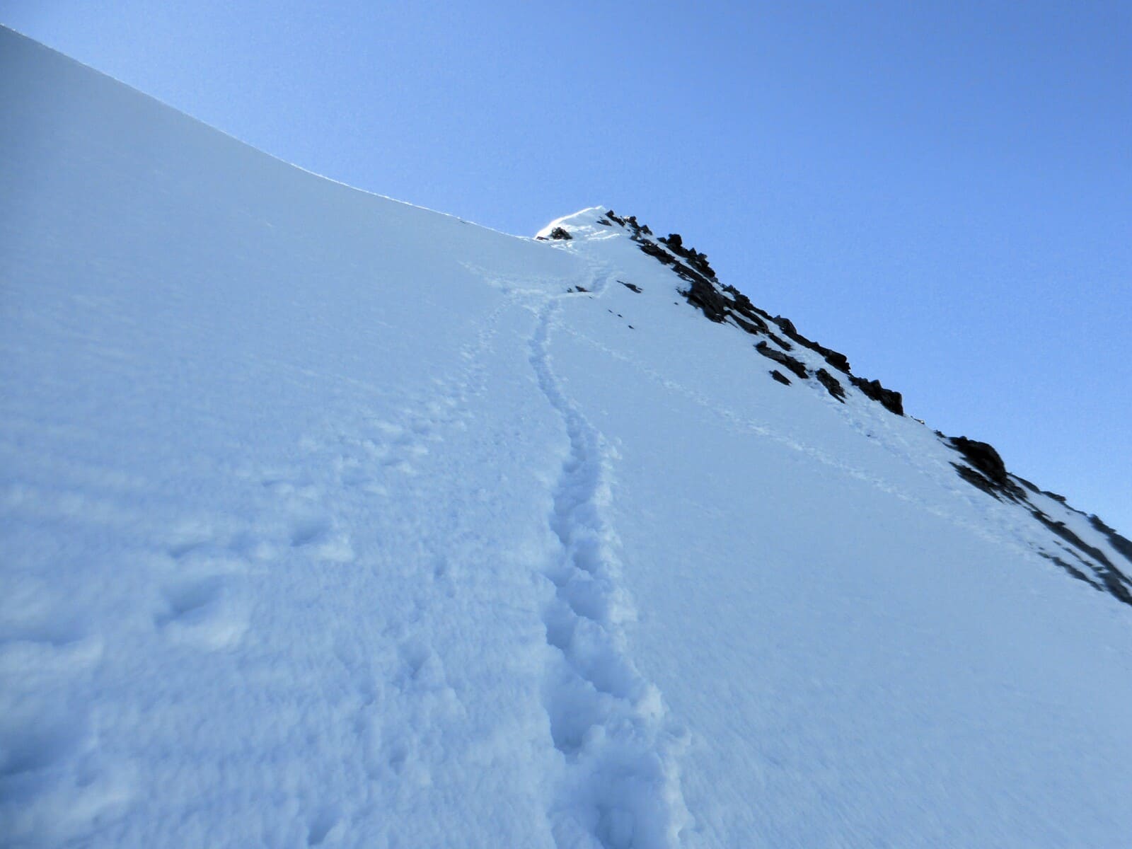 Sommet 4000 facile Saas-Fee 3 jours Alpinisme itinérant | niveau PD- | 3 jours