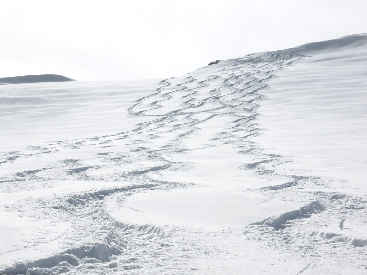 Ascension Grand Paradis 4000 facile Ski de Rando 3 jours Ski de rando | en étoile | 3 jours