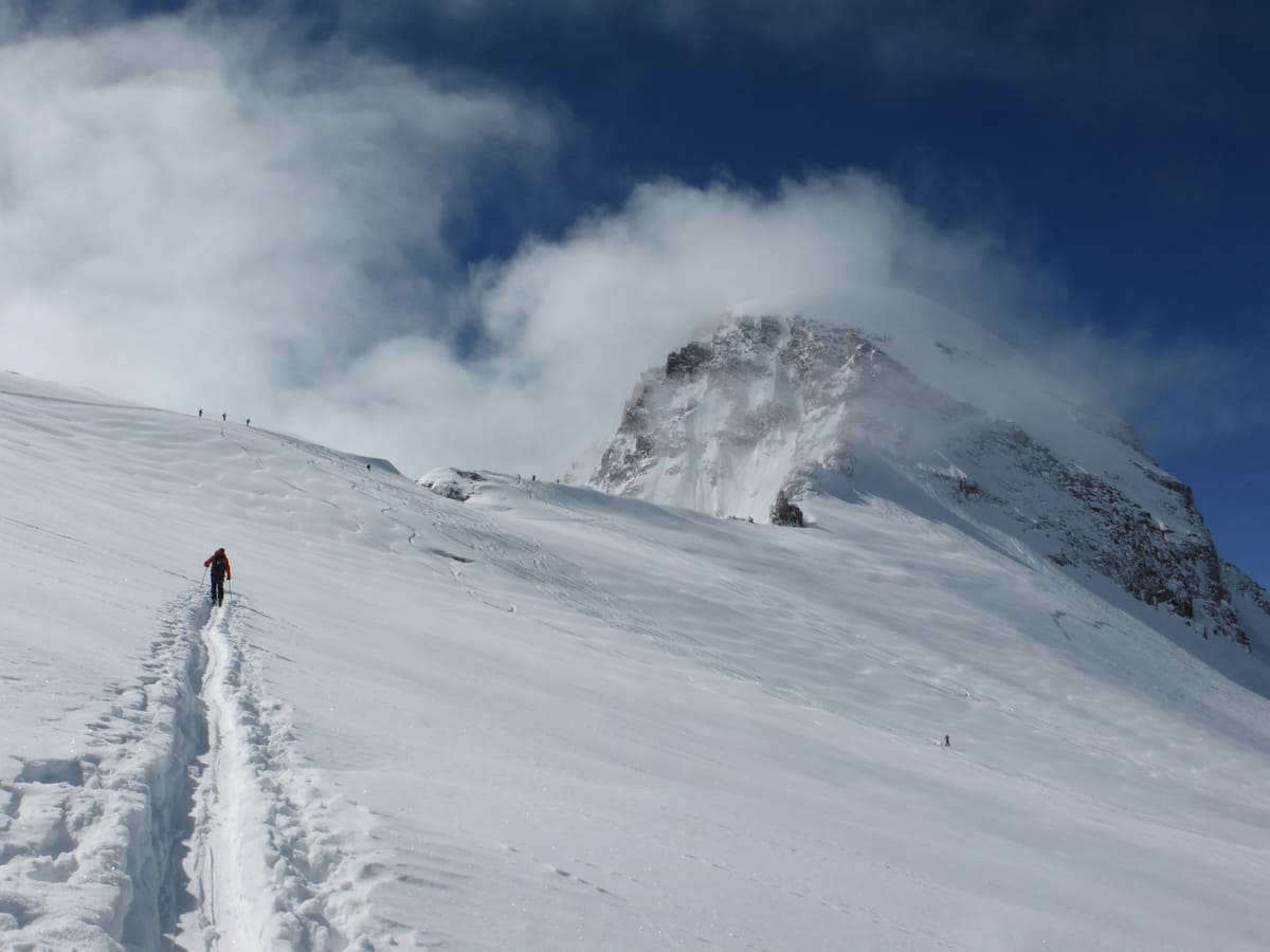 Ascension Grand Paradis 4000 facile Ski de Rando 3 jours Ski de rando | en étoile | 3 jours