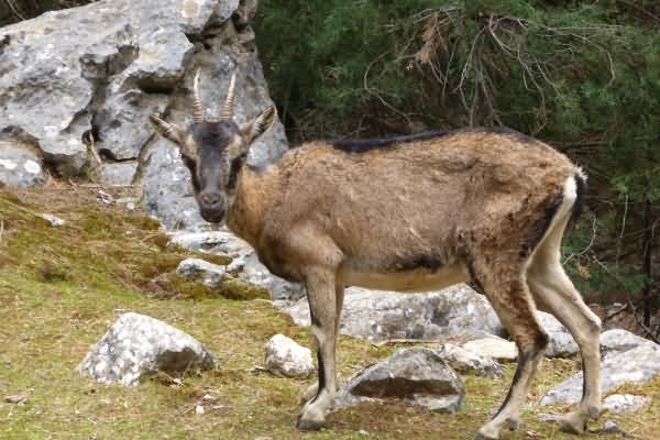 Kreta - Berge und Meer Trekkingreise | Hotels | 12 Tage