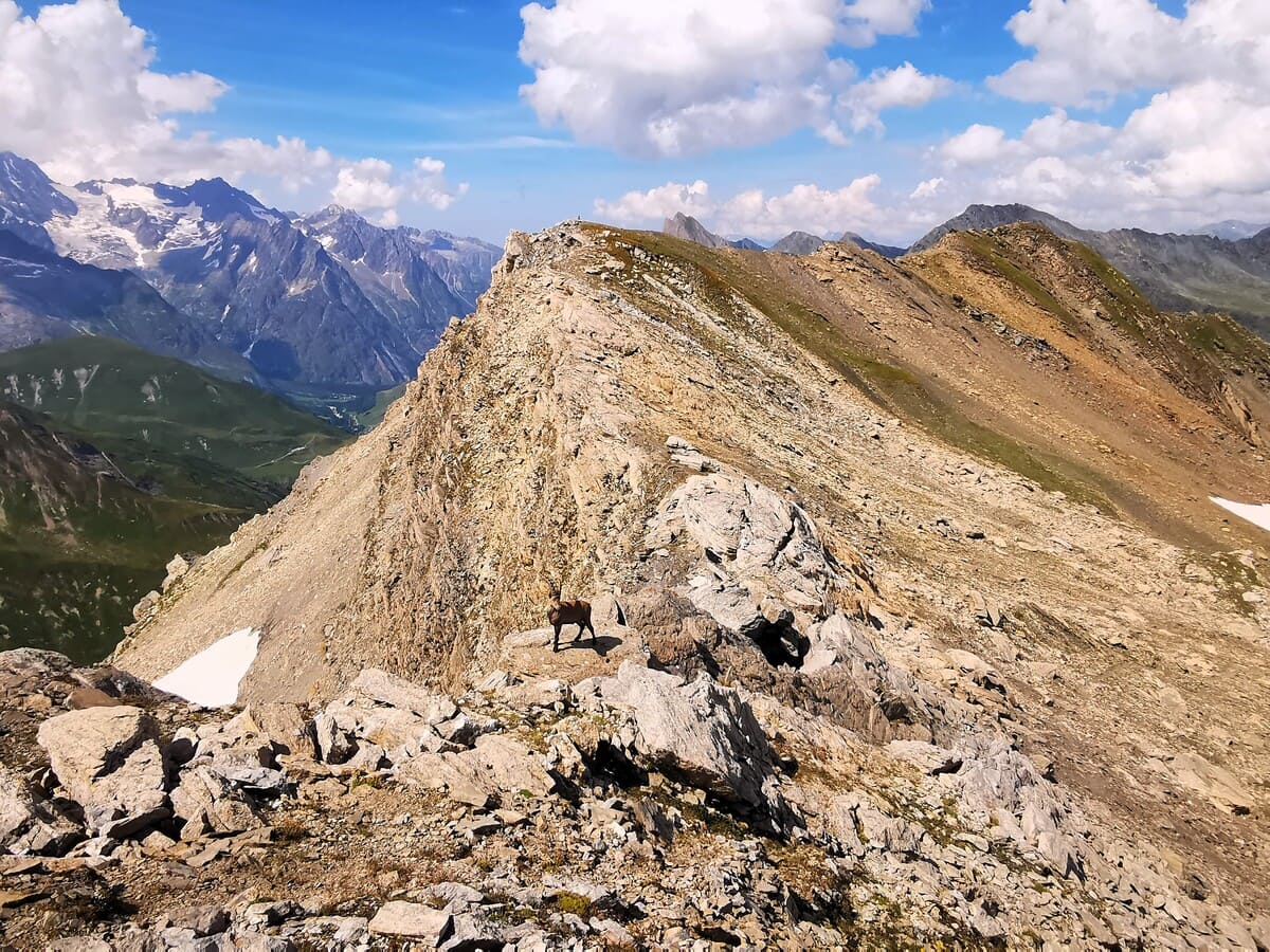 Tagestour Wandern Wandern | Klettern | Tagstour
