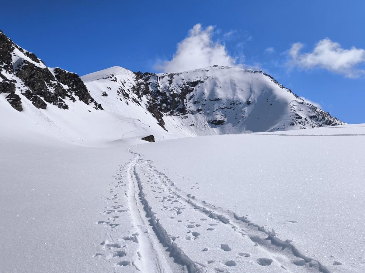 Haute Route des Alpes Graies Ski de Rando 6 jours Raid à ski | 6 jours