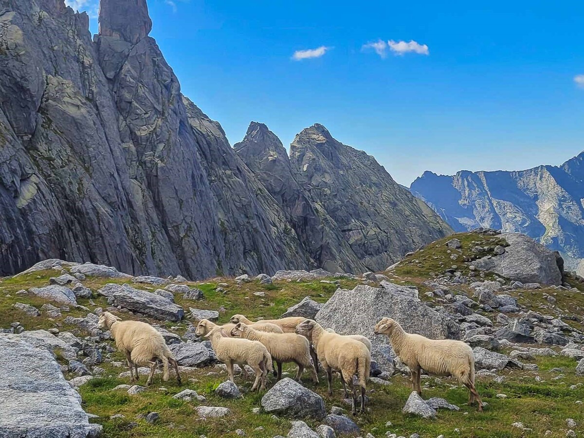 Trekking Sentiero Roma Trekking | Von Hütte zu Hütte | 7 Tage