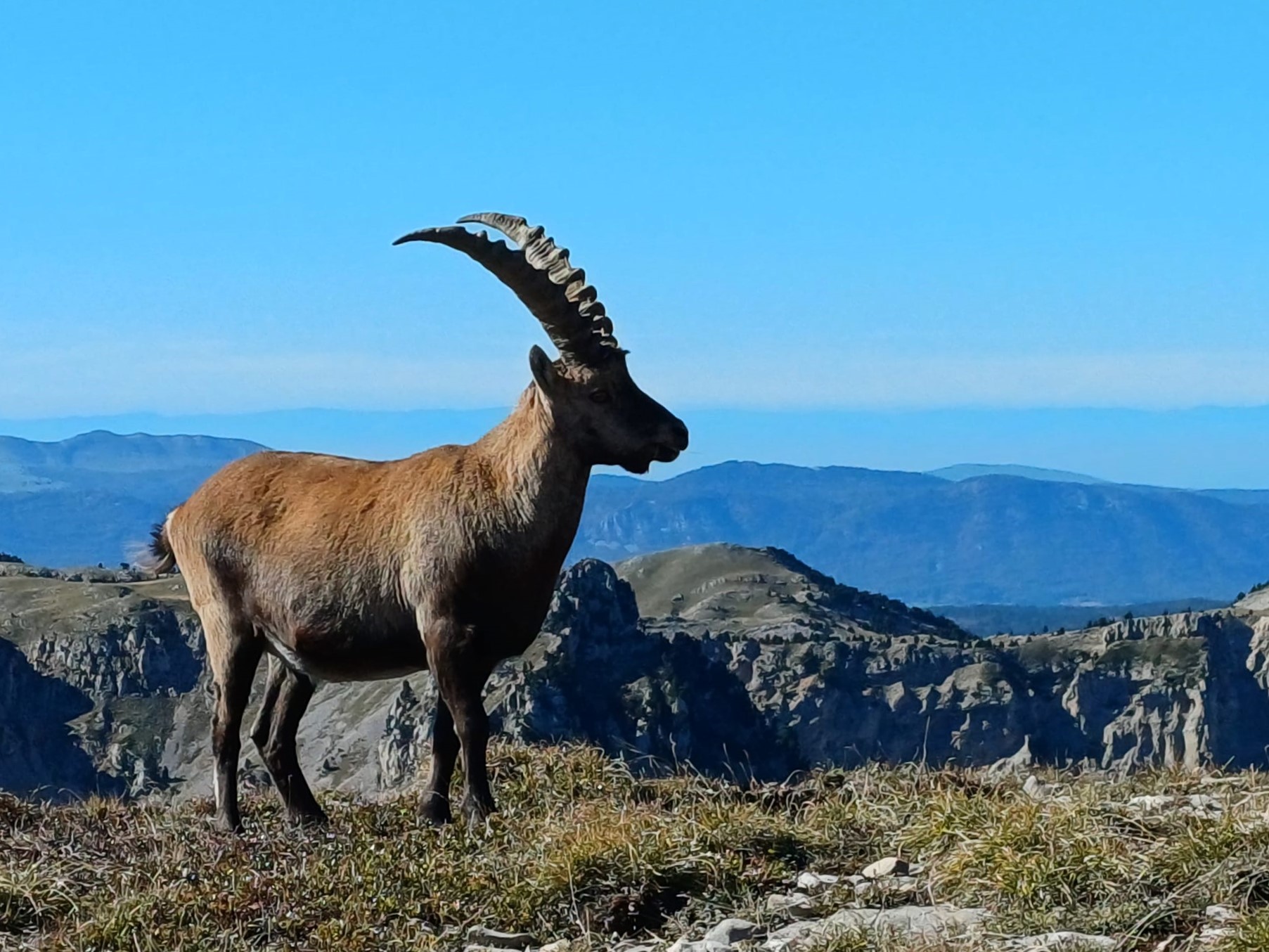 Escalade du Mont Aiguille - Vercors Escalade Préalpes | 2 jours